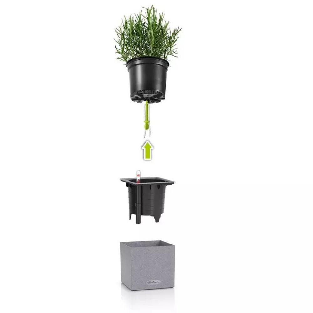 Lechuza CANTO Stone Cube 14 önöntöző cserép – elegáns kőhatású design