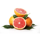 Grepfrut Pompelmo Giallo (Citrus paradisi) cu fructe galbene-portocalii acrisoare, an 2 pe rod