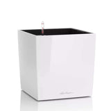 Lechuza Cube Premium 30 önöntöző kaspó – 12 l, fényes fehér, leválasztható betéttel