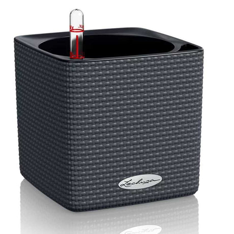 Lechuza CUBE Color 14 öntözős kaspó – rattan hatású, fekete, önöntöző rendszerrel