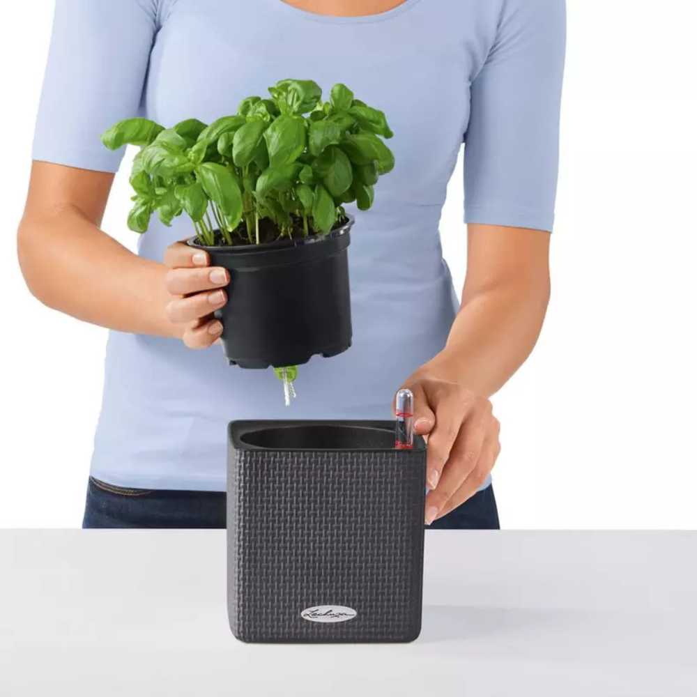 Lechuza Cube Color 14 öntözős kaspó – elegáns rattanhatású fehér design