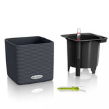 Lechuza CUBE Color 14 öntözős kaspó – rattan hatású, fekete, önöntöző rendszerrel
