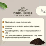 Culvita Pamant pentru Orhidee 5 l, Sol optim orhidee, drenaj excelent, crestere sanatoasa, prevenire putrezire radacini