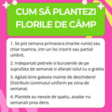 Seminte de Flori de Camp Mix pentru pentru Fluturi, Ingrasamant si Seminte 2-in-1, cu ingrasamant organic inclus, biodiversitate gradina, 260 g pentru 5m², CUXIN DCM