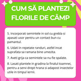 Seminte de Flori de Camp Mix pentru pentru Fluturi, Ingrasamant si Seminte 2-in-1, cu ingrasamant organic inclus, biodiversitate gradina, 260 g pentru 5m², CUXIN DCM