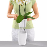 Ghiveci Auto-Irigant Lechuza Deltini 1,2 l, visiniu lucios, sistem de autoirigare, insert detasabil, strat de drenaj