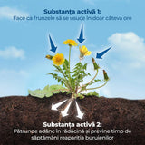 Erbicid Duo pentru Buruieni si Radacini, 500 ml, PROTECT GARDEN
