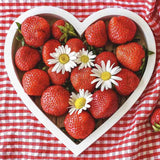 Capsuni Productivi Corona (Fragaria Ananassa), cu fructe foarte mari si aroma echilibrata, perfecti pentru gradina, an 1 pe rod