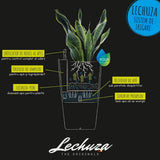 Lechuza Cilindro Color 23 önöntöző cserép – 5,5 l, matt fekete, beépített öntözőrendszerrel