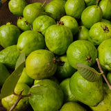 Cattley guava (Psidium cattleyanum) – illatos, édes-savanykás trópusi gyümölcscserje