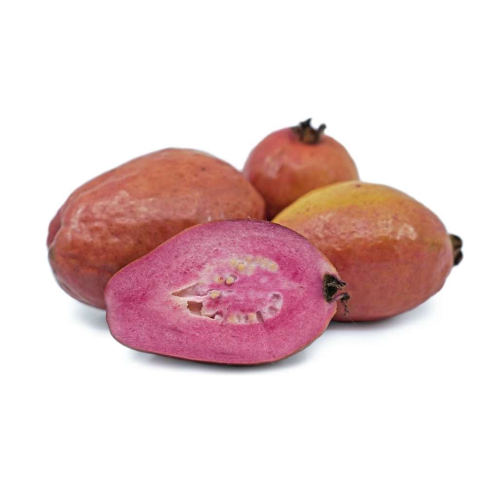 Guayabito – Psidium eugeniaefolia – illatos trópusi gyümölcscserje
