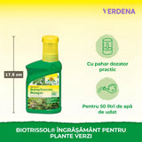 Ingrasamant Lichid BioTrissol organic Neudorff pentru plante verzi si palmieri, crestere rapida si frunze verzi - 250 ml