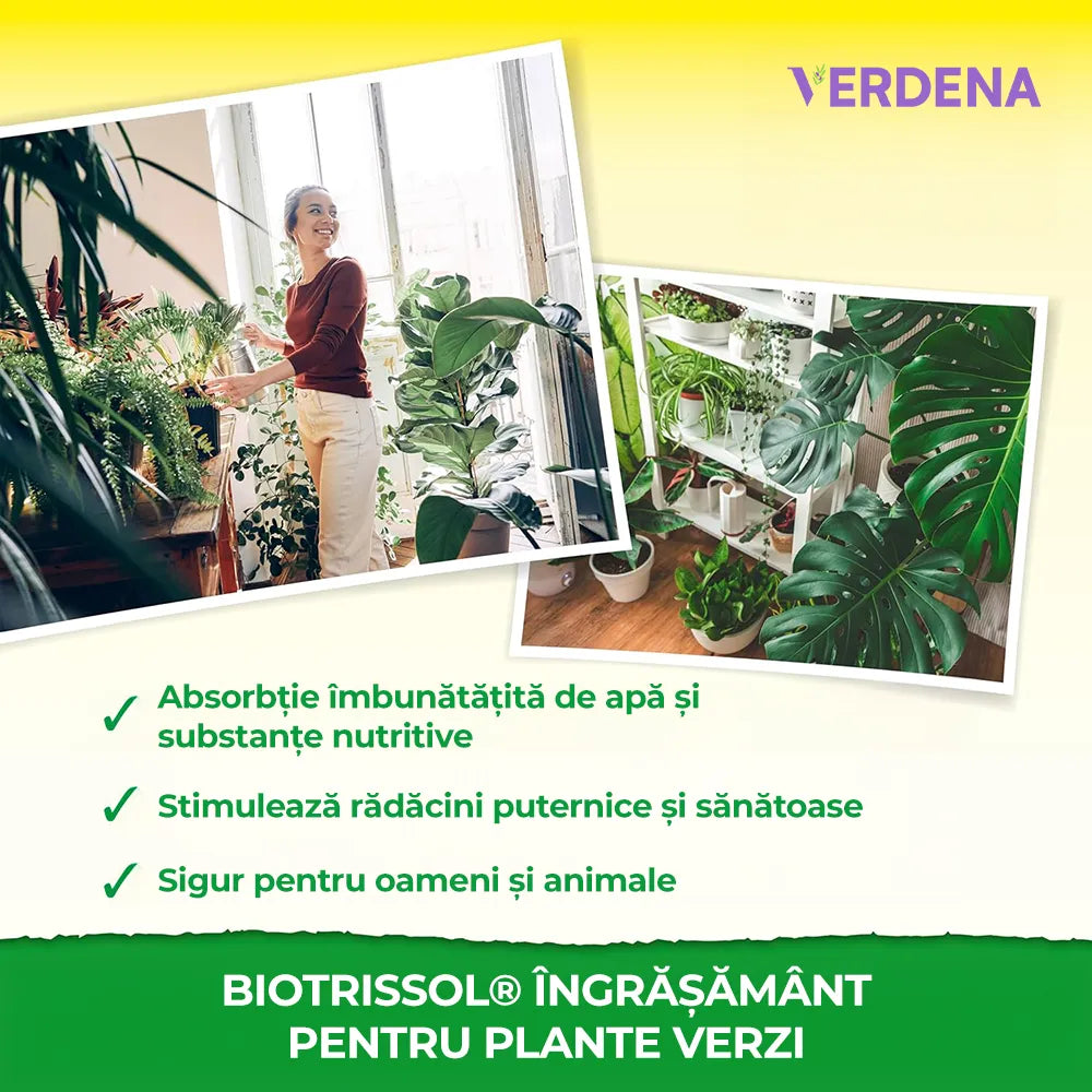Ingrasamant Lichid BioTrissol organic Neudorff pentru plante verzi si palmieri, crestere rapida si frunze verzi - 250 ml