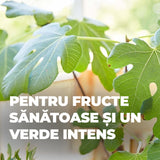 Ingrasamant Organic Lichid pentru Plante Citrice 500 ml, COMPO