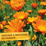 Ingrasamant Special pentru Flori si Plante Perene, 2.5 kg, cu Efect Imediat si de Lunga Durata, SOLABIOL