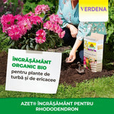 Ingrasamant Azet pentru Azalee si Rhododendroni, 1 kg, pentru plante acidofile si fructe de padure, NEUDORFF