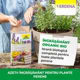 Ingrasamant organic plante perene NEUDORFF Azet 1 kg, cu Mykorrhiza, eliberare nutrienti 100 zile