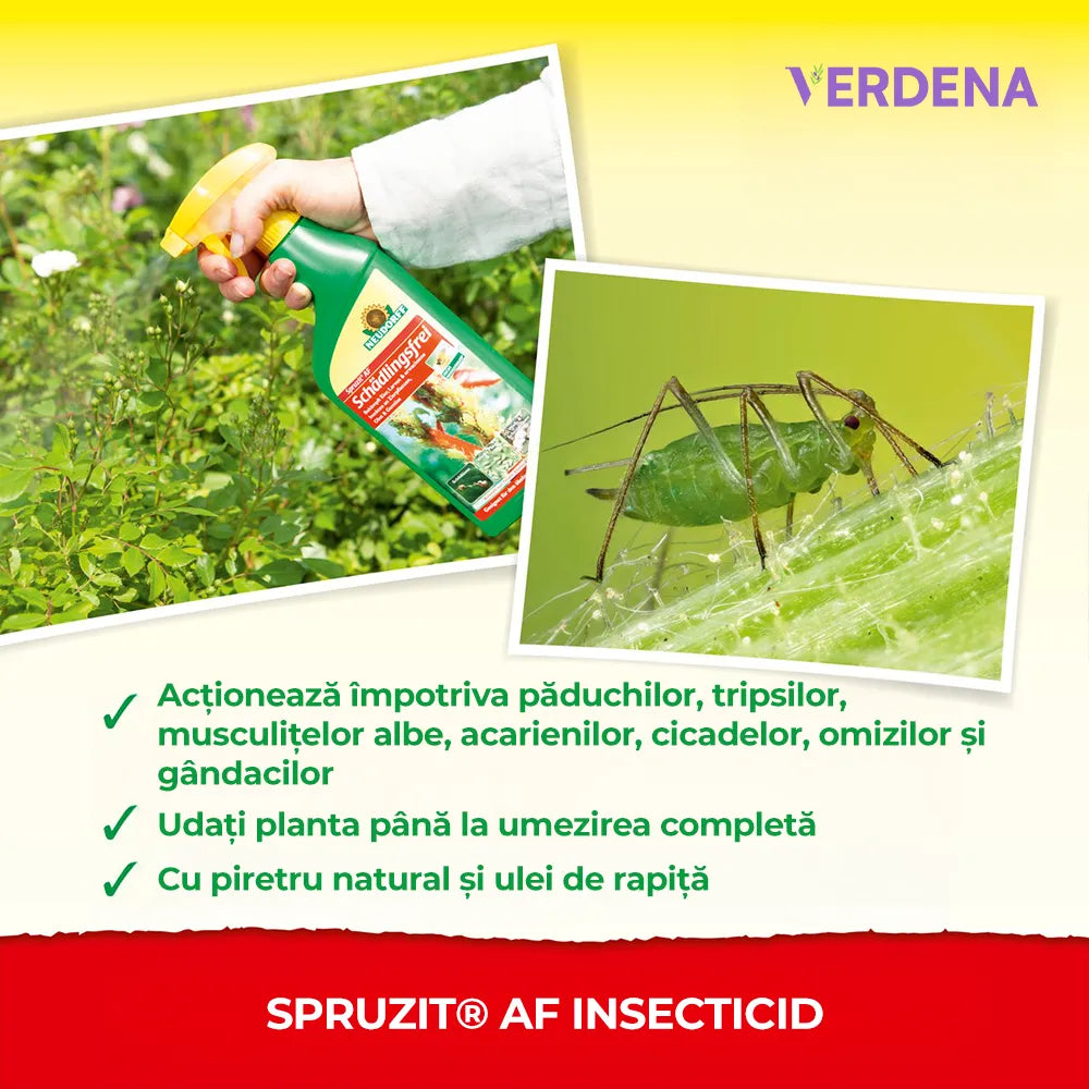 Insecticid Natural Organic Spray Spruzit, anti-daunatori pentru trandafiri, afide, paianjeni rosii, tripsi, Neudorff - 750 ml