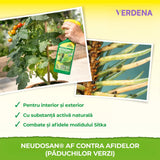 Insecticid Spray natural Neudorff Neudosan AF impotriva afidelor, musculitei albe si paianjenului rosu – 500 ml