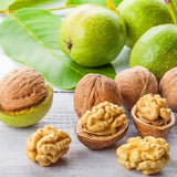 Nuc Regia Lara (Juglans Regia), cu gust dulce-untos, an 2 pe rod