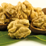 Nuc Regia Di Sorrento (Juglans Regia), cu gust dulce-cremos, 2 pe rod