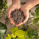 Substrat Mineral LECHUZA Lechuza-pon 18 l, pentru toate plantele de interior si de ghiveci, 100% fara turba, cu ingrediente naturale