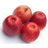 Mar (Malus) Sterappel, cu fructe rosii dulci-acrisor, an 3 pe rod