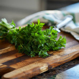 Oregano salbatic (Origanum vulgare), planta aromatica perena rezistenta la ger