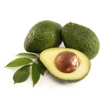 Pom Avocado (Mangifera indica), in ghiveci, planta exotica cu fructe aromate