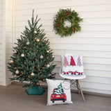 Brad de Craciun Molid Argintiu albastru (Picea Glauca) Super Blue