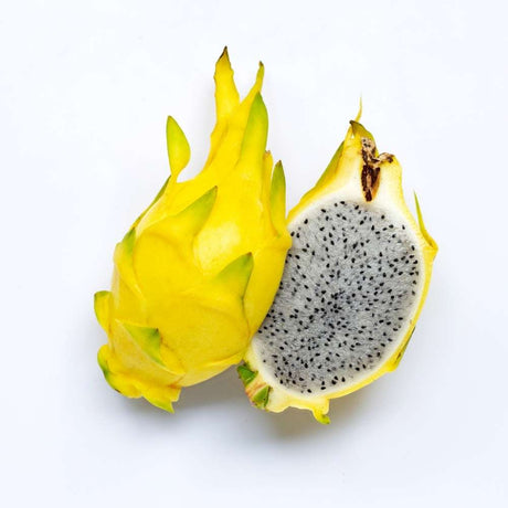 Sárga pitaya (Selenicereus megalanthus) – egzotikus kaktusz édes sárga gyümölccsel