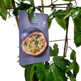 Maracuja, Fructul Passiuni (Passiflora edulis), floarea pasiunii cu fructe exotice mov si aromate