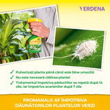 Insecticid Natural Spray pentru Plante Verzi Neudorff Promanal AF, combatere eficienta a paduchilor si acarienilor - 250 ml
