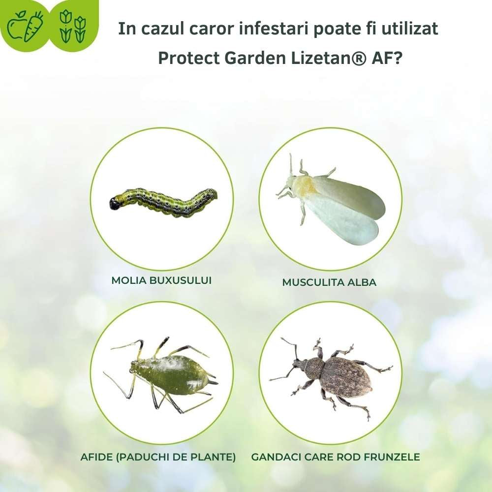 Insecticid Spray cu Efect Rapid contra Omizilor de Buxus 1 l  PROTECT GARDEN