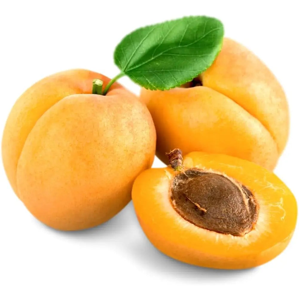 Cais (Prunus armeniaca) Luizet, cu fructe dulci portocalii, an 2 pe rod