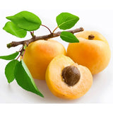 Cais (Prunus armeniaca) Soungiant, cu fructe dulci galbene-aurii, an 2 pe rod
