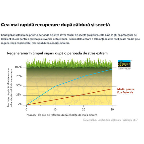 Seminte gazon Resilient Blue Lawn Barenbrug 5 kg, gazon rezistent la seceta, boli si trafic intens, regenerare rapida, pentru 250 mp