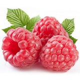 Zmeura remontanta Autumn First timpurie si productiva cu fructificare vara-toamna, an 1 pe rod