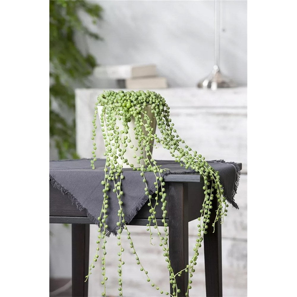 Sirag de perle Senecio Rowleyanus, planta suculenta curgatoare, planta interior suspendata decorativa- 25 cm