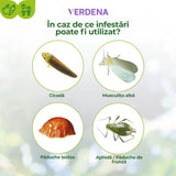 Spray Fungicid Contra Bolilor Fungice la Trandafiri si Plante Ornamentale, 400 ml, PROTECT GARDEN