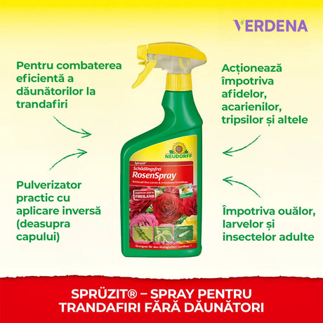 Insecticid Natural Organic Spray Spruzit, anti-daunatori pentru trandafiri, afide, paianjeni rosii, tripsi, Neudorff - 750 ml