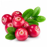 Afin american rosu (Vaccinium macrocarpon Pilgrim), merisor cu fructe mari rosii acrisor, an 1 pe rod