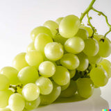 Vita de Vie (Vitis vinifera) Lakemount, cu struguri albi, dulci, an 1 pe rod