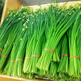 Díszhagyma, Allium schoenoprasum – rózsaszín–lila virágú