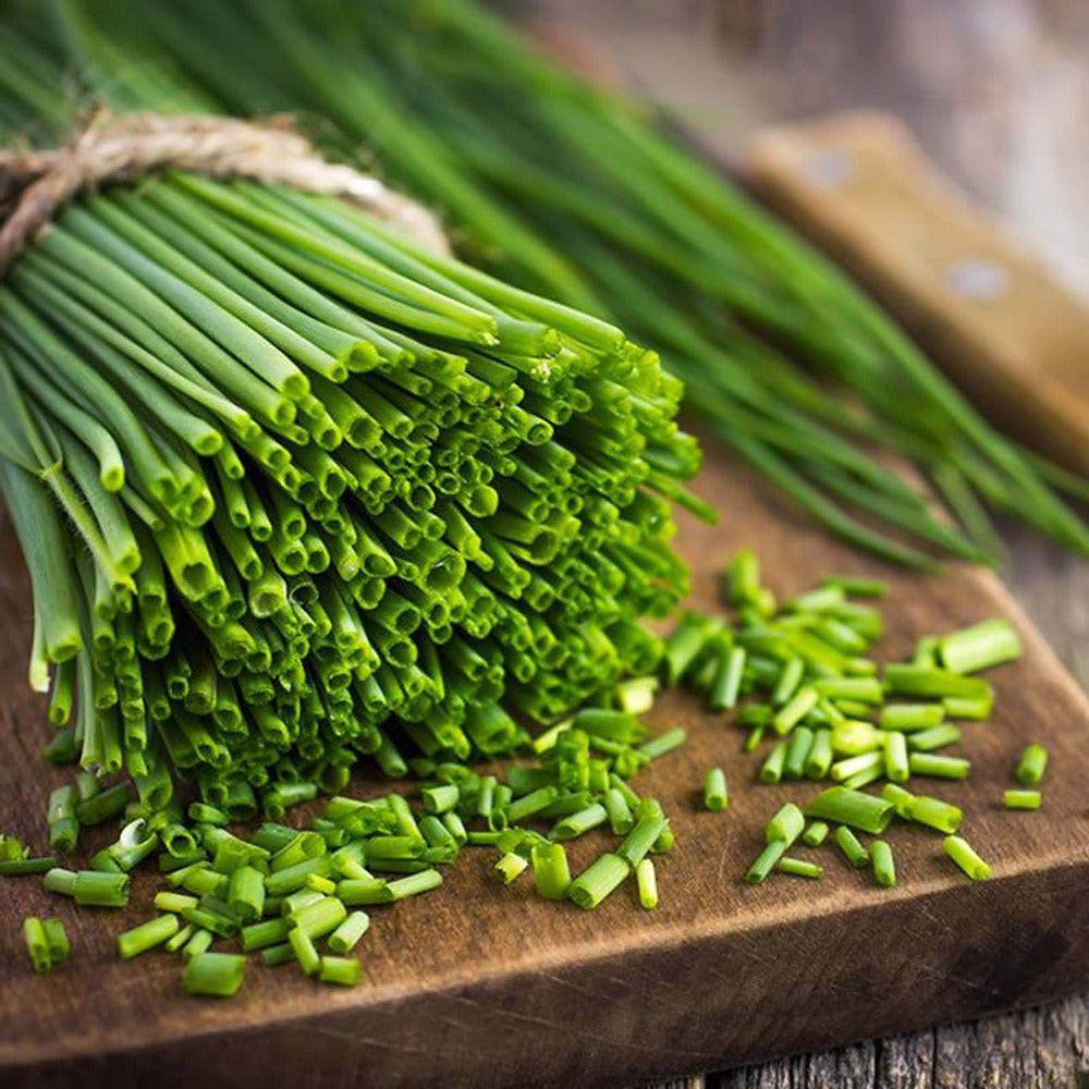 Díszhagyma, Allium schoenoprasum – rózsaszín–lila virágú
