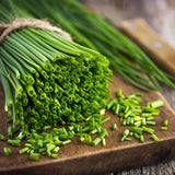 Díszhagyma, Allium schoenoprasum – rózsaszín–lila virágú