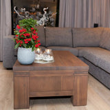 Ardisia Boss Rosie, planta decorativa cu fructe rosii stralucitoare, eleganta si usor de ingrijit pentru interior - 35 cm