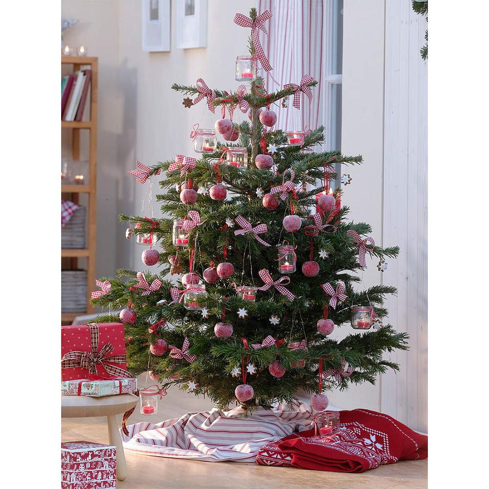 Brad de Craciun Nordmann (Abies Nordmanniana), brad vesnic verde, rezistent la ger, crestere moderata, Ideal pentru gradina sau craciun