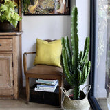 Cactus Candelabru 135 cm