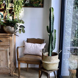 Cactus Candelabru 135 cm